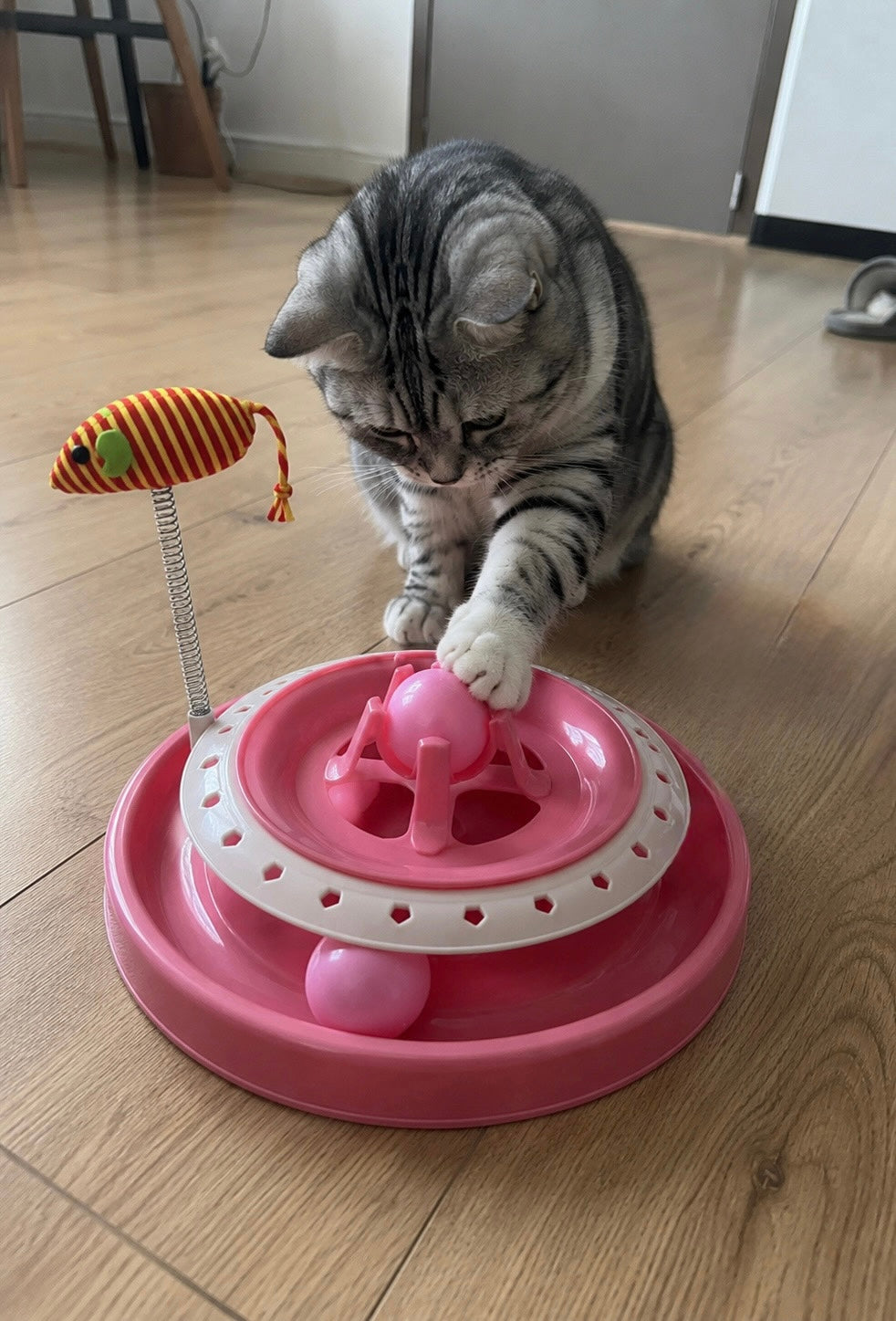 360° Interactive Cat Toy