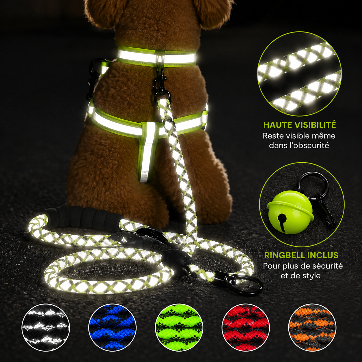 Reflective Night Safety Leash