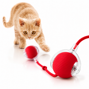 Smart Auto-Play Cat Teaser Ball