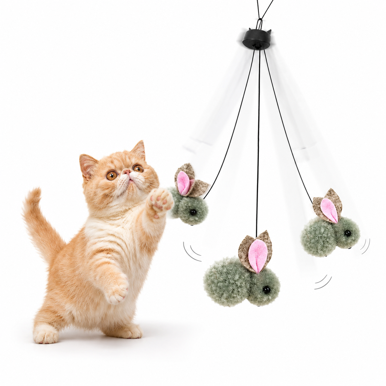 BunnyBounce Hanging Cat Toy