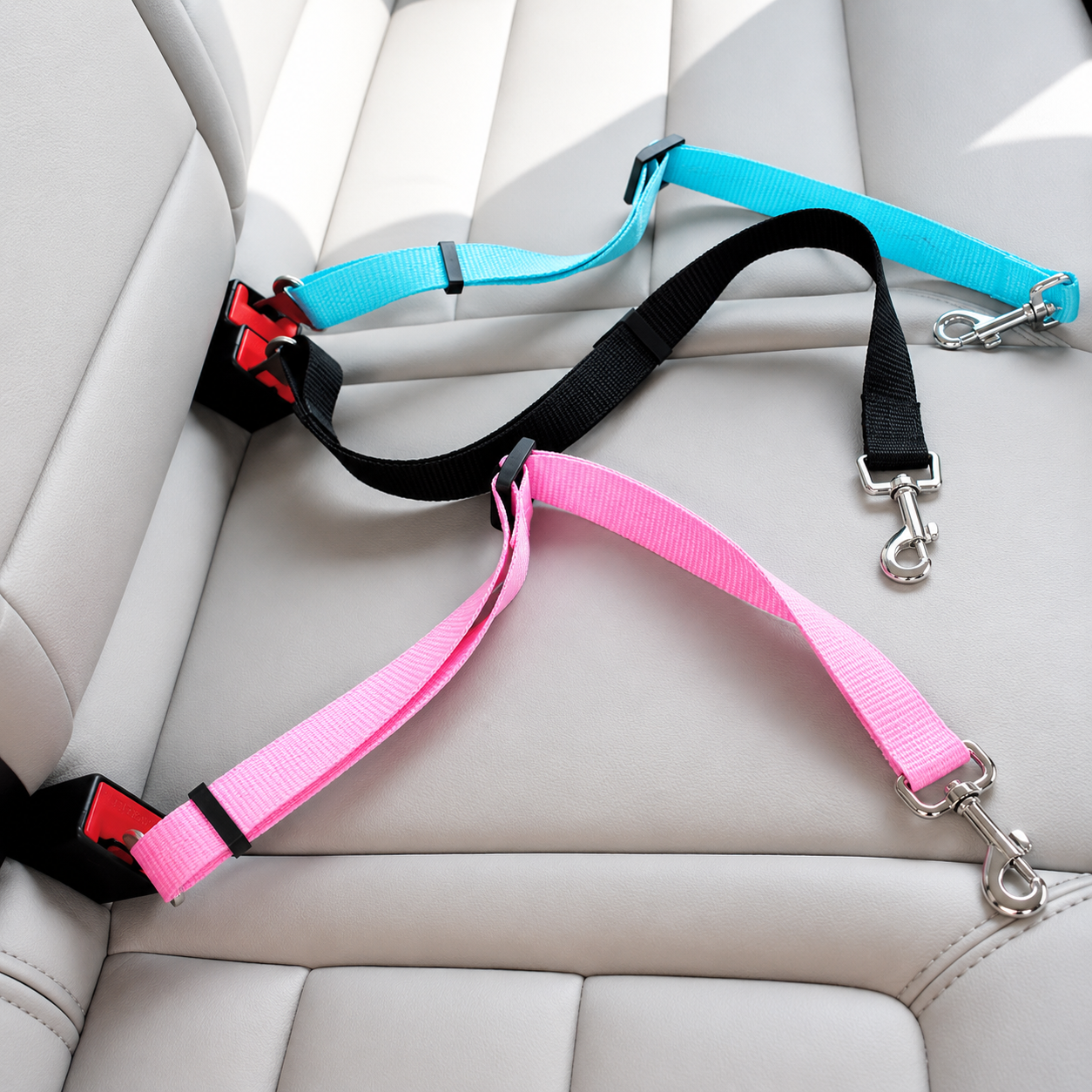 Ceinture de sécurité pour animaux de compagnie SafeRide