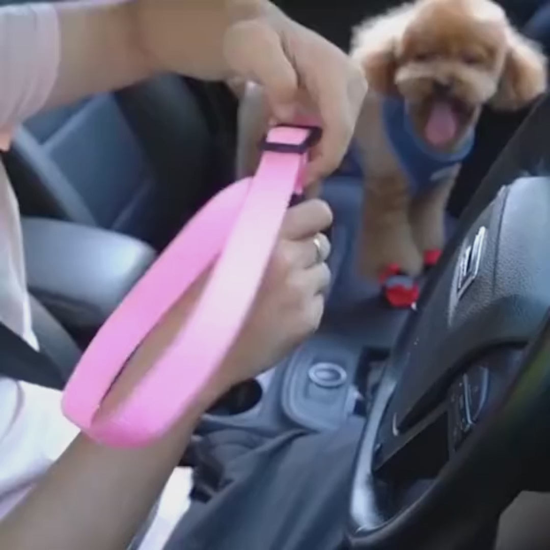 Ceinture de sécurité pour animaux de compagnie SafeRide