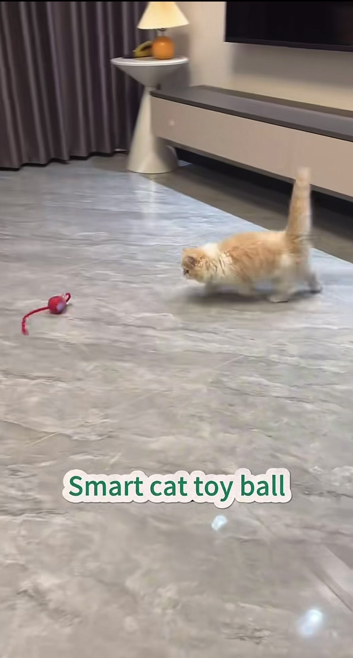 Smart Auto-Play Cat Teaser Ball