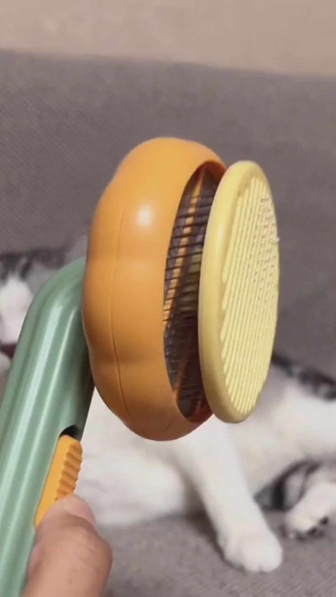 Brosse autonettoyante pour animaux de compagnie