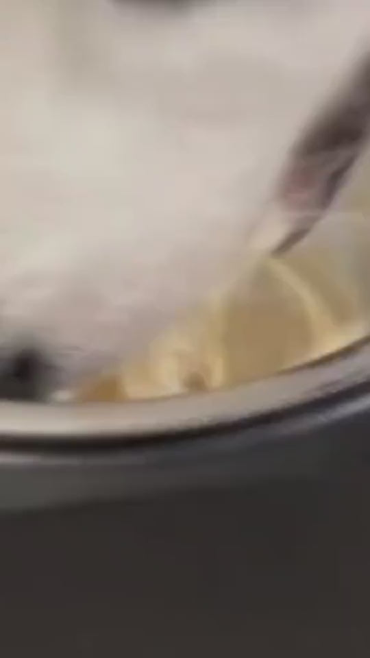 Anti-Spill Water Bowl