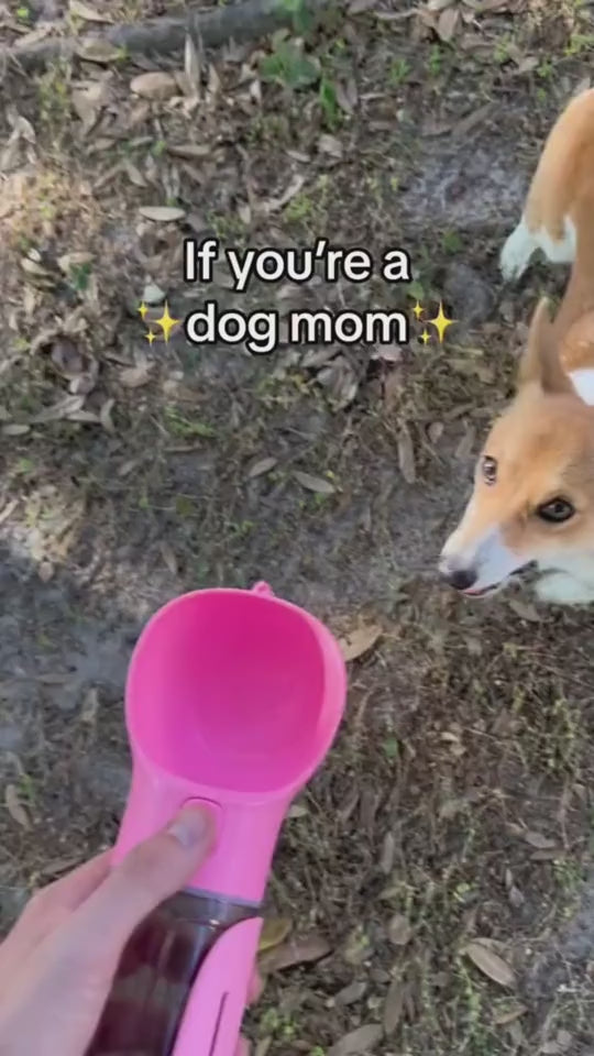All-in-One Pet Travel Bottle