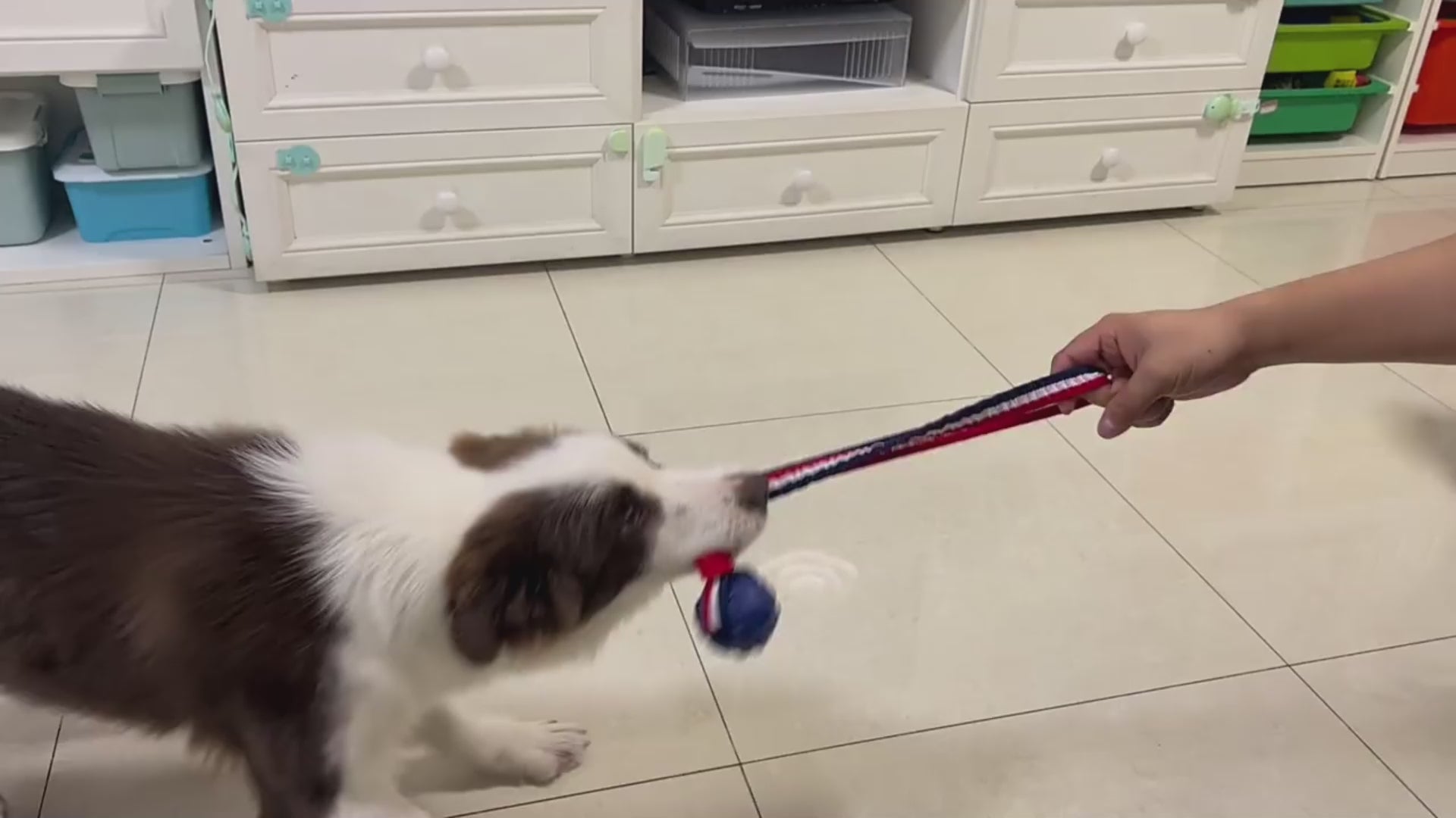 TugBall Interactive Rope Toy